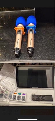 Inandon 無線麥克風組