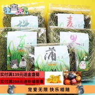 Yizong | Totoro Rabbit Timothy Nantiti Nanyti Alfalfa Dandelion Wheatgrass Barley Grass Chicory Fruit Tree