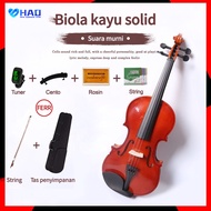 Import Biola Dluxeviolin 4/4 Biola Untuk Dewasa Remaja / alat musik gesek / biola anak / biola remaj
