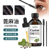 Cold Massage caster Pressure oil oil Castor oil Castor Hair Care Seed Base oil Plant IKI7