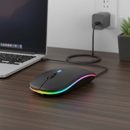 Rechargeable Wireless LED Gaming Mouse with Backlight for Laptop and PC