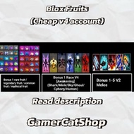 {CHEAPEST} Blox Fruits (v4 account) | Check description | PC games