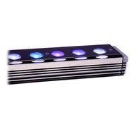 Orphek OR4 iCon Reef Day Plus