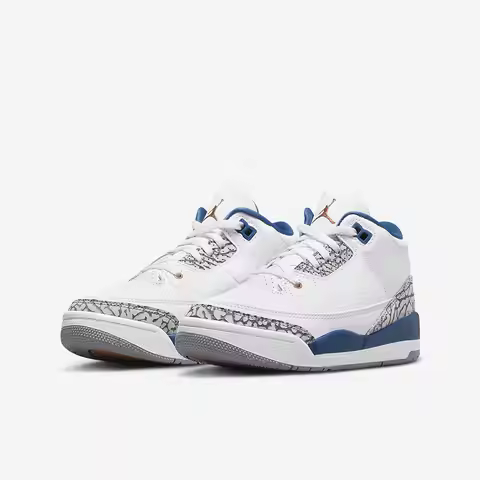 Nike Authentic Air Jordan 3 GS Women's Big Kids Sneaker DM0966-148