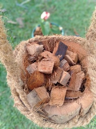 3kg Coco Cubes for Plants | Organic Fertilizer | Pampataba at Pampalusog sa Halaman, Orchids, at Gar