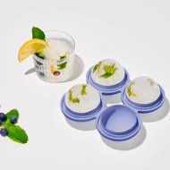 美國 W&P 球形製冰盒