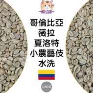 1kg Green Beans Colombia Vera Charlotte Small Farmer Geisha/Pastara Geisha Washed-World Coffee < Fac