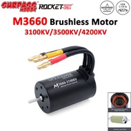 SURPASS HOBBY M3660 3100KV 3500KV 4200KV Waterproof Brushless Motor 3.175mm Shaft For 1/10 RC Car Bo