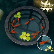 DALIA Aquarium Filters, Large Capacity Floating Fish Fry Cage,  Reusable Fish Fry Isolation Box For 