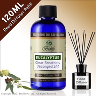 Biolife Eucalyptus Essential Oil Aromatherapy Reed Diffuser Refill Long Lasting Scent (120ml Reed-Diffuser Refill)