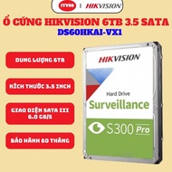 HIKVISION HDD SPECIALIZED FOR SPECIALIZED MONITOR CAMERA 6TB/2TB I GENUINE