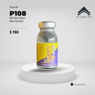 P108 วัยรุ่นตุรกี