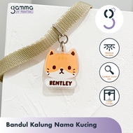 Custom Name Cat Necklace - Name Cat Acrylic Pendant