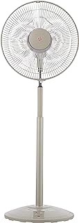 KDK N30NH Living Fan with Remote Control, 30cm, Premium Gold