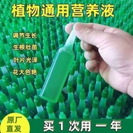 Plant Nutrition Liquid Universal Flowers Plants Potted Hydroponics Green Dills Succulent Fortune Tre