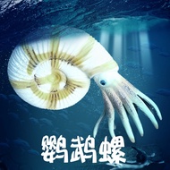Children's Toys Big Parrot Snail Ammonite Simulation Animal Model Prehistoric Age Marine Life Ancien