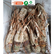 Lobster Laut 1Kg isi 5 6 7 8 9 10 Lobster Bambu Pasir dsb.