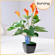 【Buran】Automatic Water Dripper Gardening Vegetables Flower Plant Self Watering Bonsai Planting Seedling Home Garden Patio