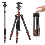 K&F Concept 60" Carbon Fiber Tripod, Lightweight Travel with 360° Ball Head & Detachable Monopod for