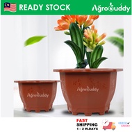 AgroBuddy Octagonal Bonsai Plastic Flower Pot Gardening Pot / Pasu Bunga Pokok Plastik Oktagon Merah Bata 八角塑料花盆