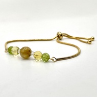 Wealth Multiplier 5D Evo