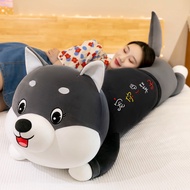 Valentine's Day plush pillow animal dog husky doll party models doll super soft pillow sofa cushion cushion batch情人节毛绒抱枕动物狗哈士奇公仔趴款玩偶超软枕头沙发靠枕靠垫批Hari Valentine plus bantal binatang anjing husky boneka model parti boneka super lembut bantal sofa bantal batch