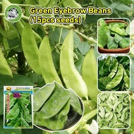 15 Pcs/bag Fresh Organic Green Eyebrow Beans Seeds F1 Vegetable Seeds for Planting Green Hyacinth Be