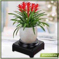 [AlmenclafdMY] Wooden Display Base Round Wood Display Stand for Aquarium Bonsai Vase Riser