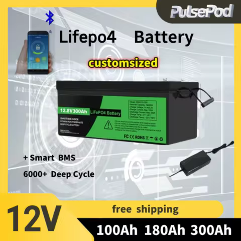 PP waterproof 12V Lifepo4 100ah 180ah 300Ah Lifepo4 Battery Pack Lithium ion Battery with BMS for El