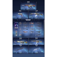 Valorant Account Silver