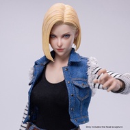 HIPLAY VHTOYS Versatile Girl Jili Movable Eye Head Sculpt VH001A 1/6 Scale 12-inch Fit Action Figure