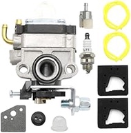 Hoypeyfiy 16100-ZM3-843 Carburetor Kit, Replacement for Honda WX10 Water Pump FG100 Tiller Cultivato