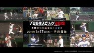 （四葉亭）預約4月 PS4 職棒野球魂 2019 純日版