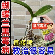 【樂樂屋】【花肥】蝴蝶蘭專用營養液 催花促劍促開花爛根殺菌生根免稀釋蝴蝶蘭花肥料