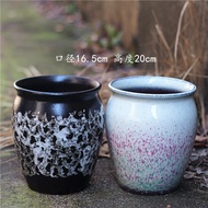 Purple Sand Succulent Big Phalaenopsis Orchid Pot Plant Green Plant Landscape Garden Balcony Indoor 