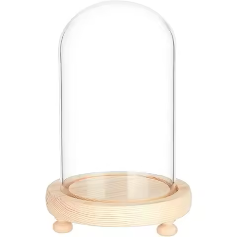 1pcs Glass Dome with Base Glass Cloche Bell Jar Display Plants Rose Flower Display Clay Succulents S
