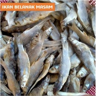 Ikan Belanak Masam / Ikan Kedera / Ikan Masin / Ikan Kering