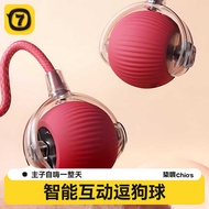 Automatic Dog Walking Ball Dog Toy Ball Bite-Resistant Self-Happy Pet Teasing Dog Dog Ball Puppy Tur