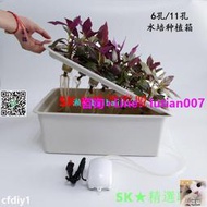 【滿300出貨】6孔靜態水培育苗箱陽臺種菜水培箱水培植物箱11孔無土栽培種植箱水耕箱33mm孔徑