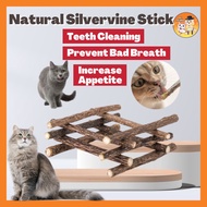 【PetParadise】Natural Silvervine Stick Natural Catnip Stick Cat Molar Stick Cat Stick