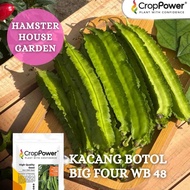HSK [10pc] BIJI BENIH KACANG BOTOL BIG FOUR WINGED BEAN WB 48 SEED KACANG SIREH