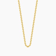 SK Jewellery 10K Yellow Gold Link Chain