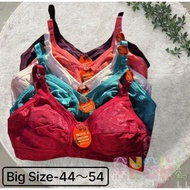 Plus Size Lace Bra – MONICA Wireless Comfort Bra (Size 44 to 54 / 100D–125D)