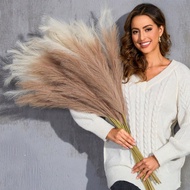 Artificial Plants Faux Pampas Grass Home Decor 100/80/60/50Pcs/30pcs/20pcs/15pcs/10pcs/5pcs/1pc 55CM