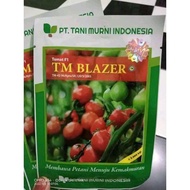 Benih bibit Tomat Tm Blazer F1  3000 butir kemasan original