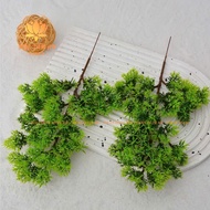 Plastic Pine Leaf Branches, Cypress Leaf Branches, bonsai Decoration, Small Landscape bonsai Driftwo