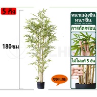 🎍สีไม่จางลง50ปี🎍ต้นไผ่ ต้นไผ่ปลอม ต้นไม้ปลอม ต้นไม้ปลอมใหญ่ ต้นไม้ปลอมสวยๆ  เสียบกระถางได้ ต้นไม้มงค