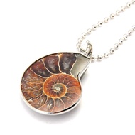 Natural Conch Ammonite Pendant Necklace Silver Plated Chains Beads Shell Necklace Women Fashion Jewe