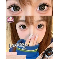 MATA DOUYIN Lovely Hazel Lovely Gray/ Livy Brown/ Livy Gray softlens BIG eyes make doll eyes 21.8mm 