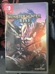 Monster hunter rise